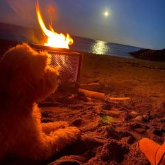 Fire Pit