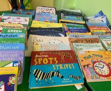 Large Childrens Book Bundle. English and Irish