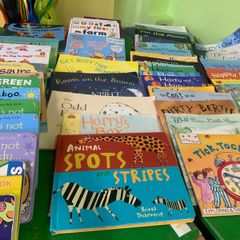 Large Childrens Book Bundle. English and Irish