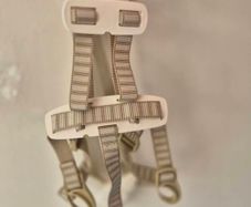 Stokle 5 Point Harness