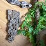 HabiStat Glass Terrarium Image 10