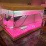White fish tank Image 2