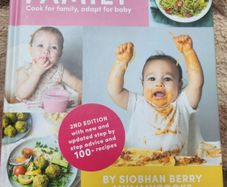 Baby & Family Book NEW.