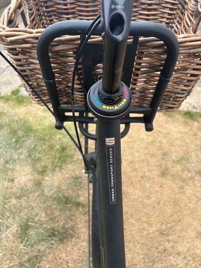 BSP La Scala Dutch mother Bike