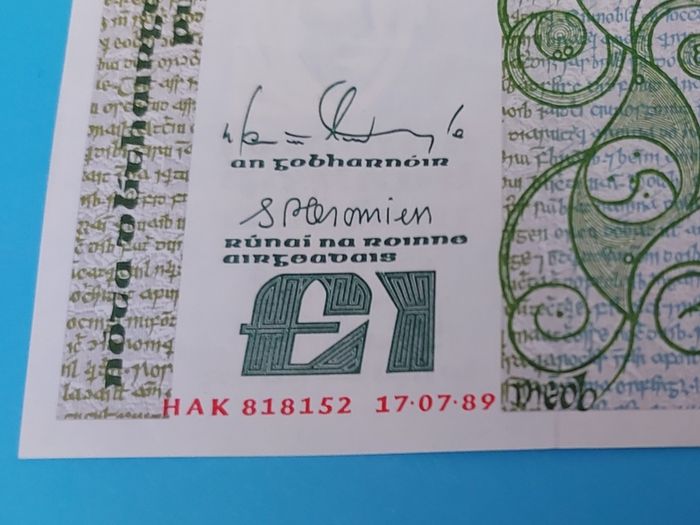 Irish 1989 "Queen Meibh" one pound in uncirculated condition