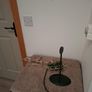 Free Image 3