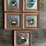 Set of 5 Vintage Wooden Framed Bird Pictures Image 9