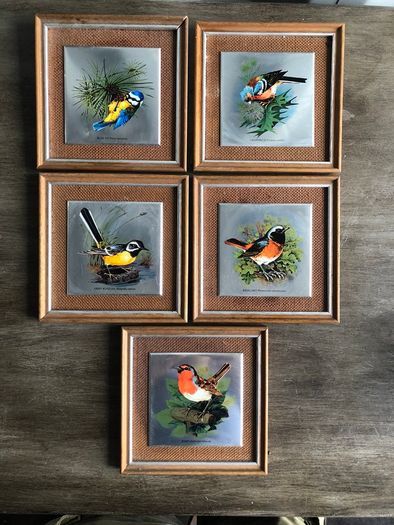 Set of 5 Vintage Wooden Framed Bird Pictures