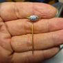 Vintage RAOB Order of Buffaloe Lapel Tie Stick Pin Badge Blue Enamel Image 2