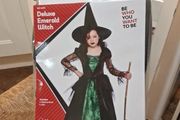 fancy dress witch costume age 8-10