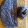 Cat Tunnel and Bed Image 3
