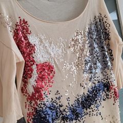 ZARA cream mesh sequinned long sleeve top Sz S (Fit 10-14UK)
