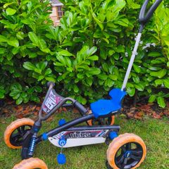 Berg Buzzy Go Kart