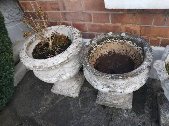 planters
