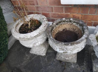 planters