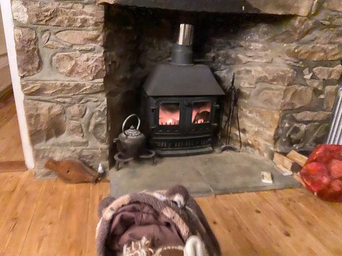 Solid Fuel Stove with Flue Recently Serviced