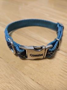 Ribbon Dog Collar
