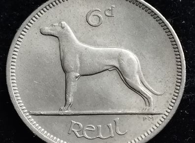 Ireland  - 6 Pence - 1960 - EF - KM.13a - [2786]