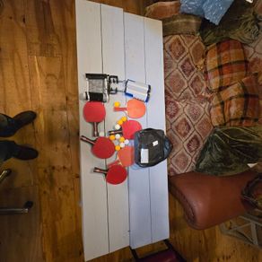 Table tennis table