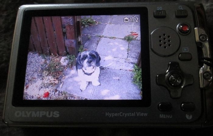 Olympus Tough Waterproof Digital Camera
