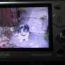 Olympus Tough Waterproof Digital Camera Image 6