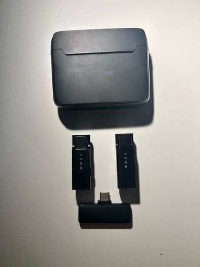 Green Lion 2-in-1 Wireless Microphone