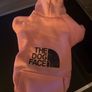 Pink Dog Hoodie. Size 4-5Kg. NEW. Never used Image 3