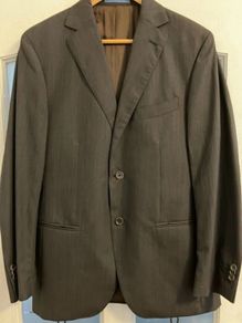 Massimo Duti Suit