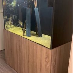 Aquarium/ Fish Not For Sale!!!