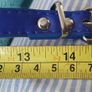 Beautiful Dog Collar Image 4