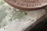 2 Antique cast iron school desk ends. Made in drogheda
