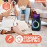 Small Portable Karaoke Party Speaker 40W Image 7