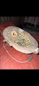 Winnie The Pooh Bouncer