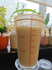 Create Your Own Probiotic Kefir with Live Milk Kefir Grains