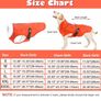 New EMUST Medium Dog Jacket Image 5