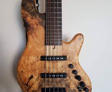 Elrick Gold Series New Jazz Standard 5-String