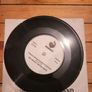 The Whole Chicken Band Teenage Mutant Kung Fu Chickens 7 inch single Harmac 1985 Image 3