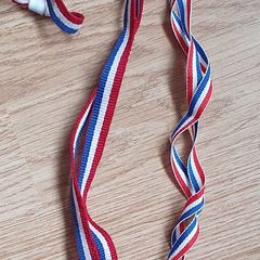 2 Cute Winner Medals