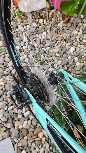 Team Kids Mountain Bike