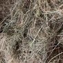 Hay Image 2
