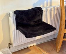 cat radiator bed