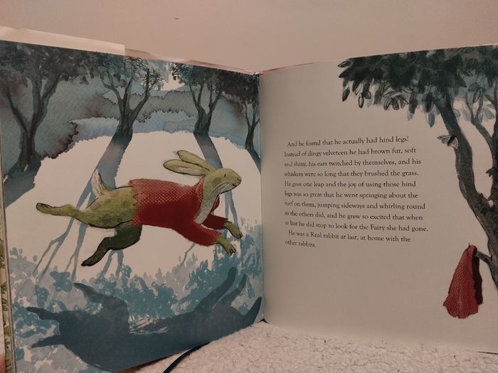 The Velveteen Rabbit, classic, hardback book