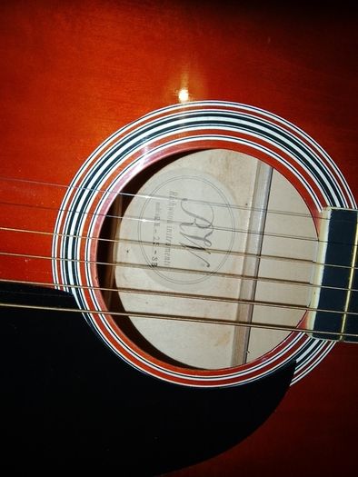 Richwood guitar in perfect condition