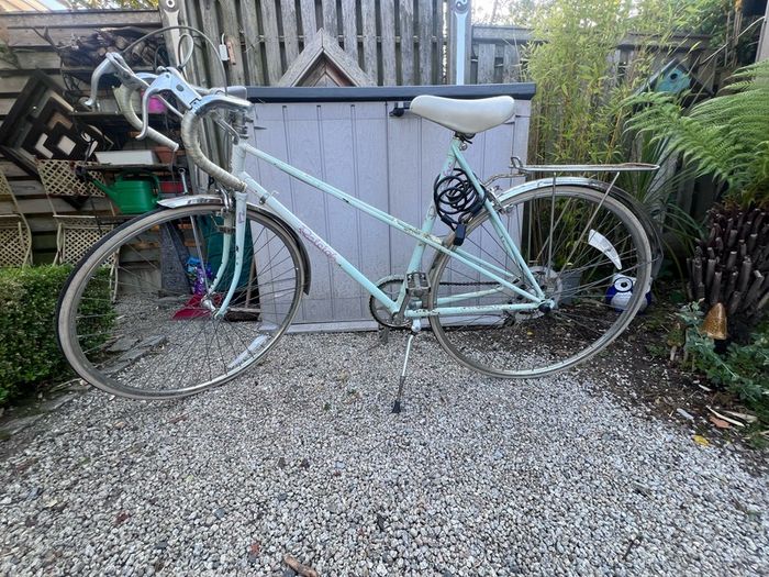 Raleigh Panache