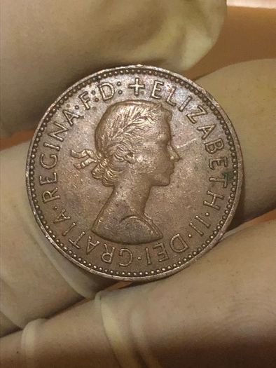 Elizabeth Halfpenny  x28 Pictures of each coin