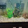 Aquarium  110 liters, stand and accessories Image 2