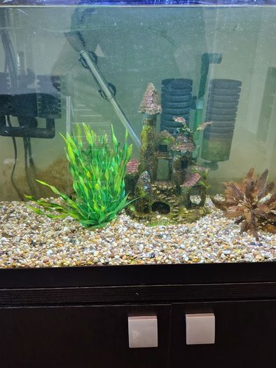 Aquarium  110 liters, stand and accessories