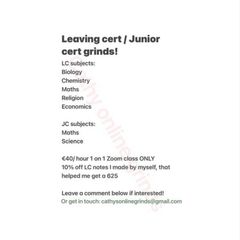 Leaving cert & Junior cert grinds