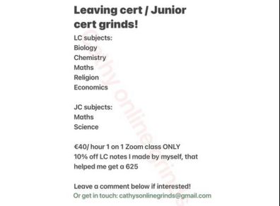 Leaving cert & Junior cert grinds