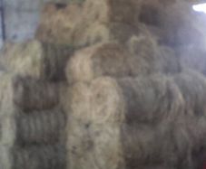 Mini round bales hay